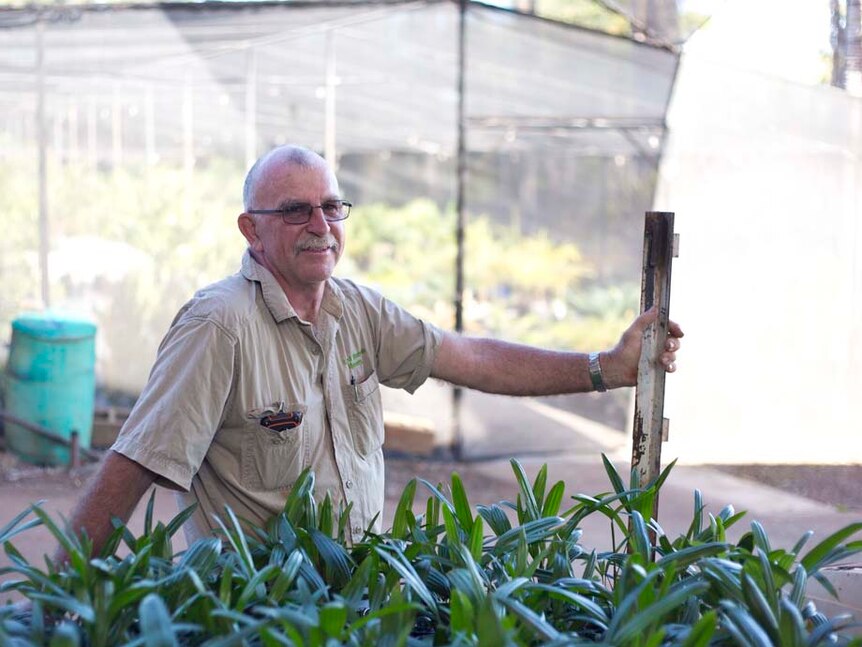 A man stands leaning against a post, with plants in the foreground