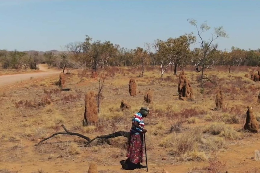 Juli with walking stick walking amongst ant hills in dry brown bush.