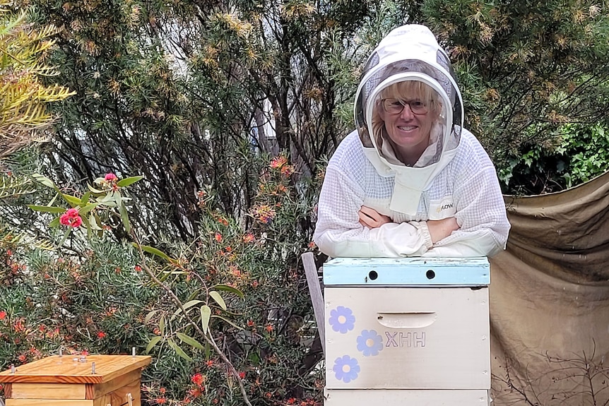  A white blonde-haired woman in a beekeeping suit leans on some hives among native flowers.