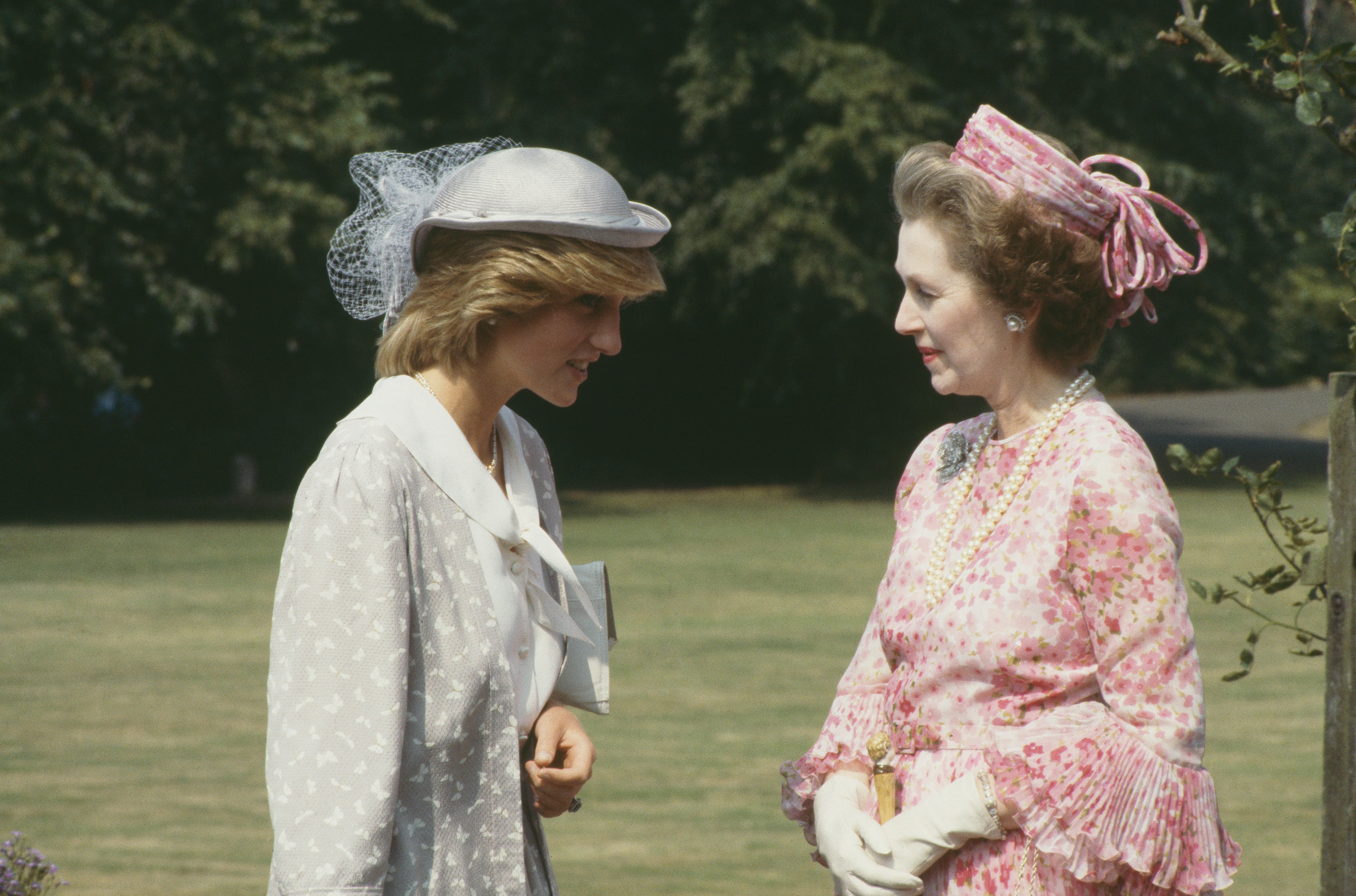 Диана и светлана фото Princess Diana pushed her 'wicked' stepmother Countess Raine Spencer down the st