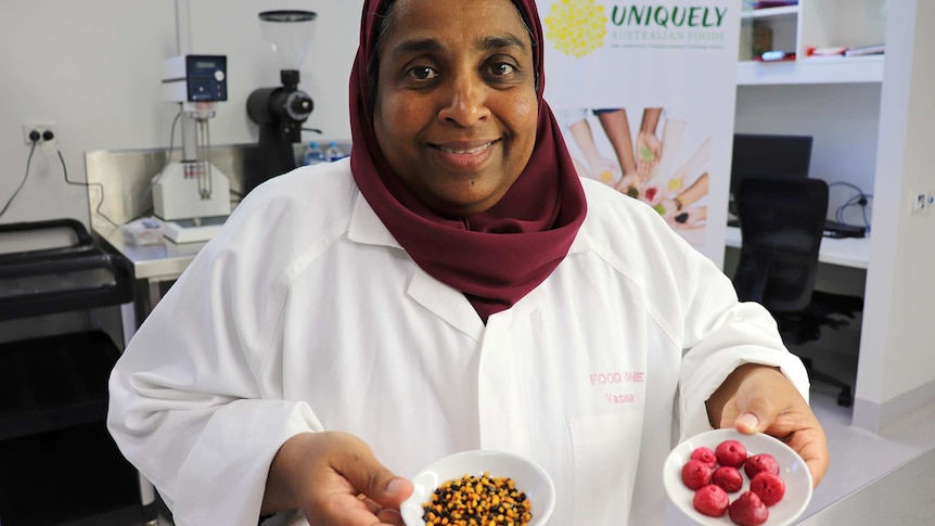 A woman wearing a lab coat holds up bowls of cape york lilly pilly and wattleseed