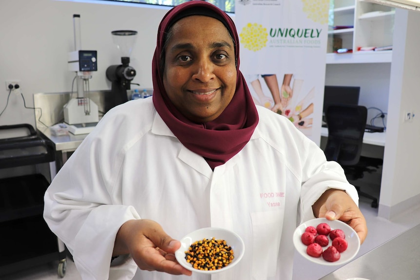 A woman wearing a lab coat holds up bowls of cape york lilly pilly and wattleseed