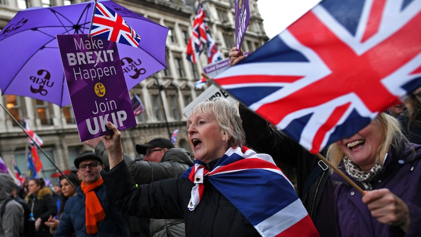 Pro-Brexit supporters demonstrate in central London.