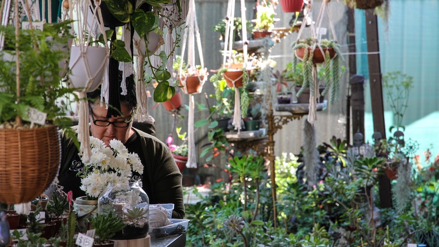 A woman sits at a table surrounded by hanging pots with plants in them