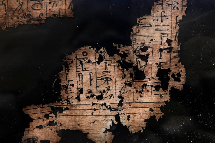 Papyrus on display in a glass case, at an ancient necropolis near Egypt's famed pyramids in Saqqara.