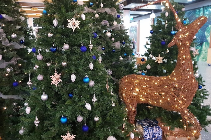 塑料圣诞树正在失去对许多人的吸引力，因为他们正在寻找更可持续的生活方式。