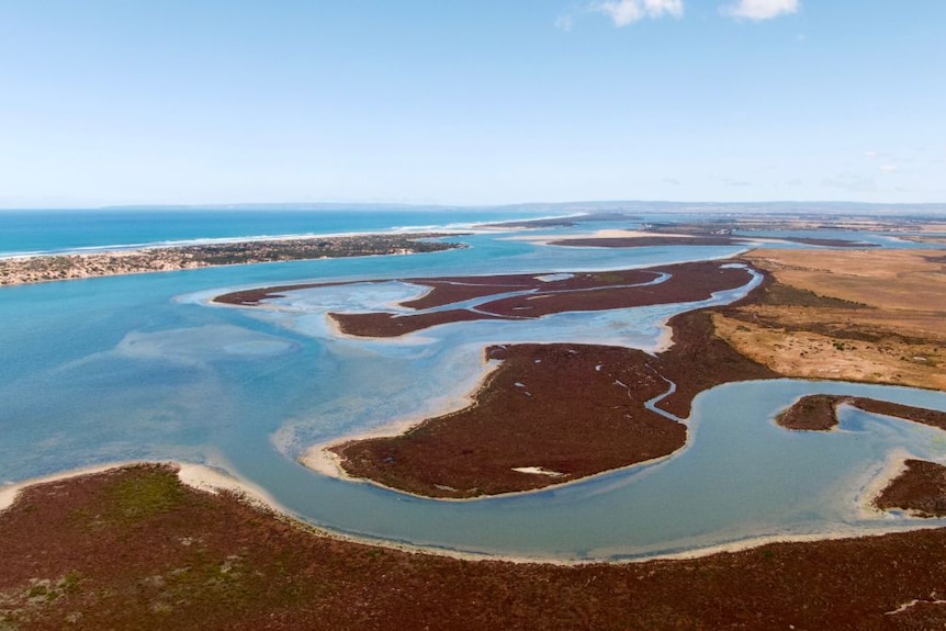 An aerial photograph of the Coorong River and swampland.