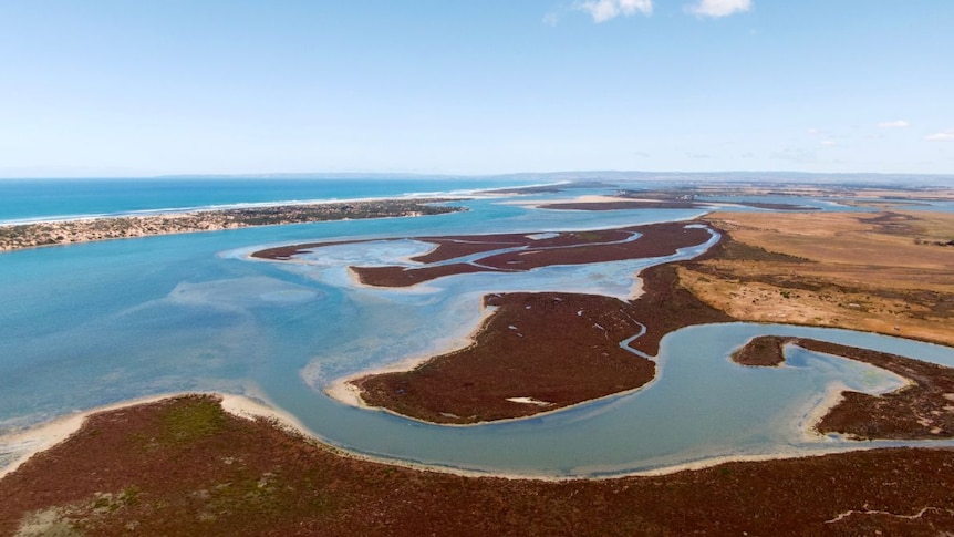 An aerial photograph of the Coorong River and swampland.