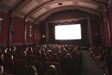 People seated in a cinema watch a big screen.