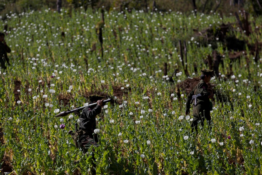 Ta’ang National Liberation Army officers walk through a poppy field in Shan state.