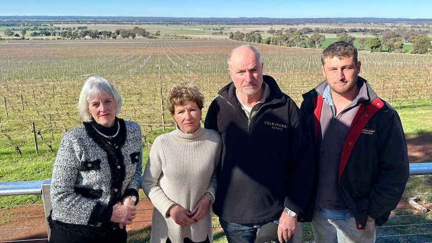 Four people standing in front of a vineyard, green paddocks, and a blue sky.