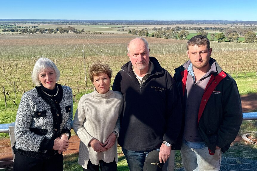 Four people standing in front of a vineyard, green paddocks, and a blue sky.