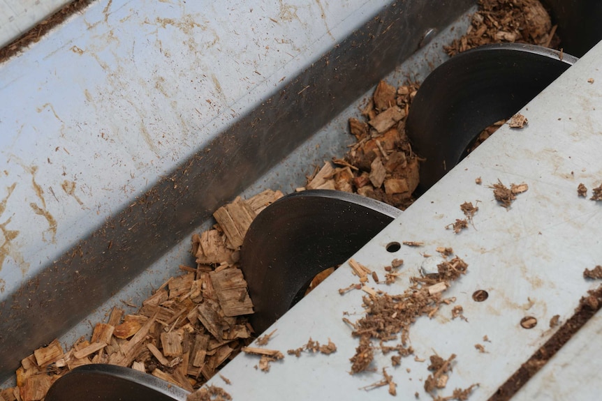 Woodchips is run through a chipper