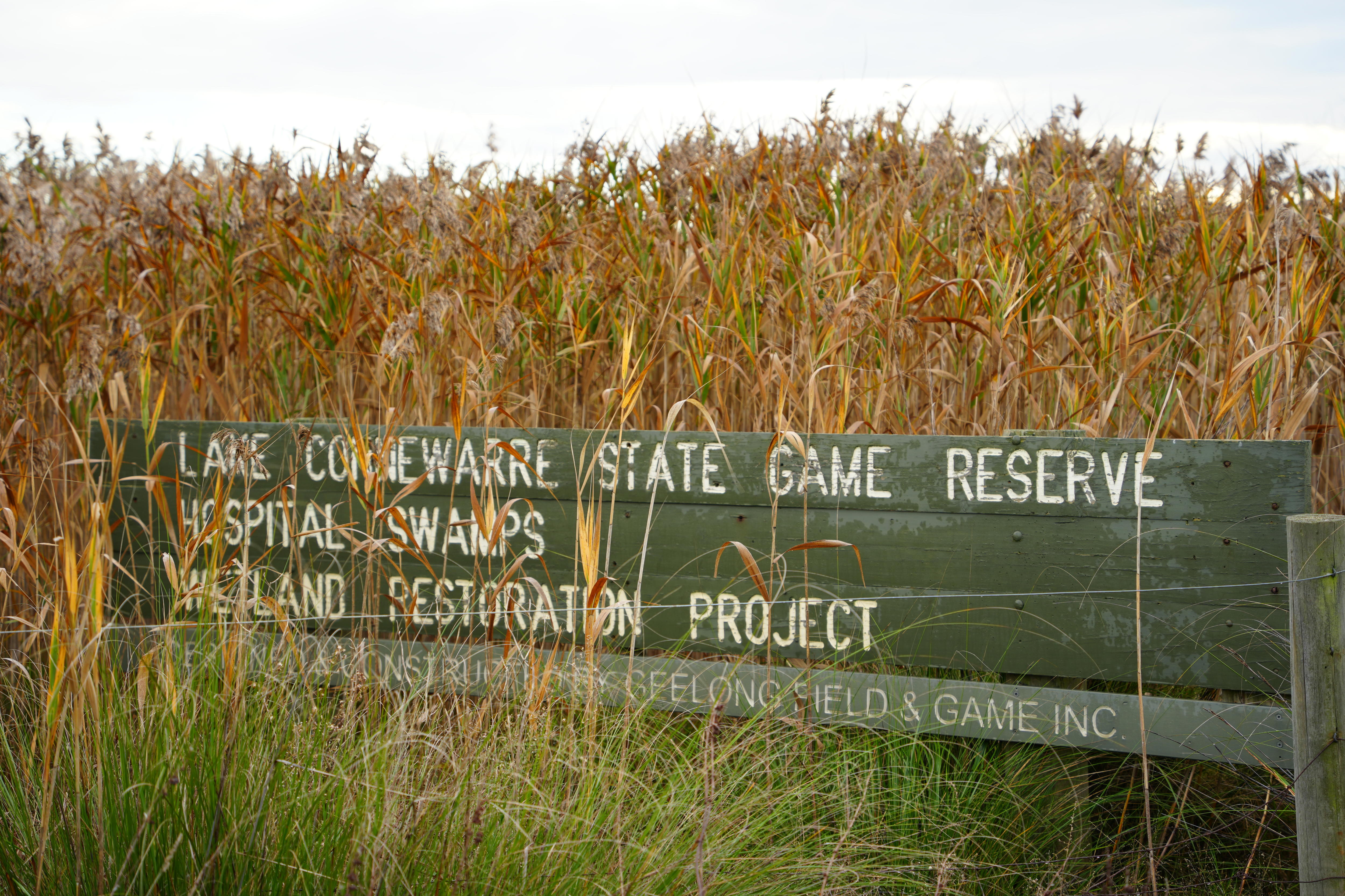 Sign reading Lake Connewarre State Game Reserve partially obsured by reedy grass