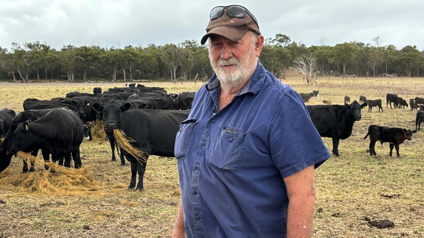 cow farmer angry at weather outlook