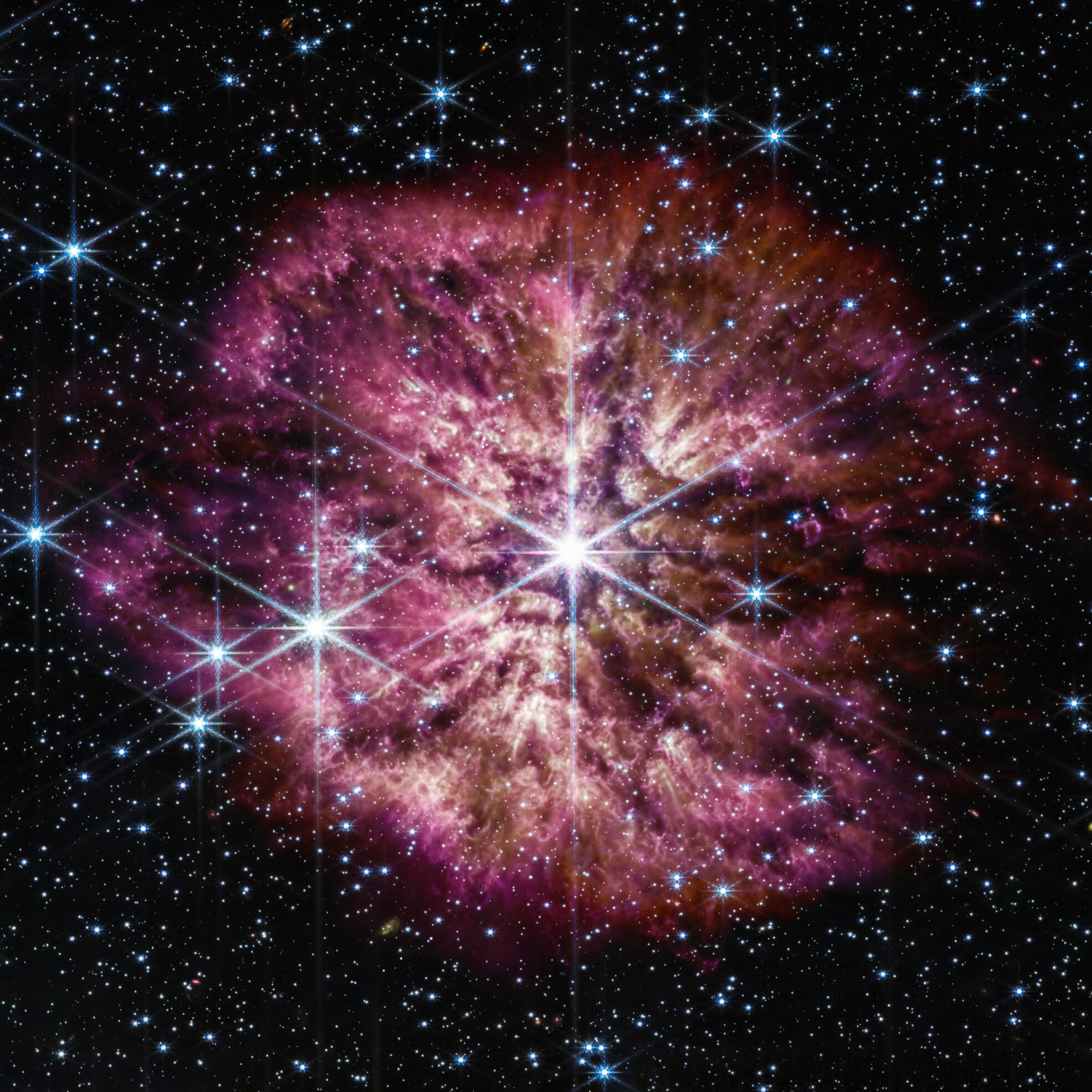 An image of the star Wolf-Rayet 124 surrounded by a nebula.