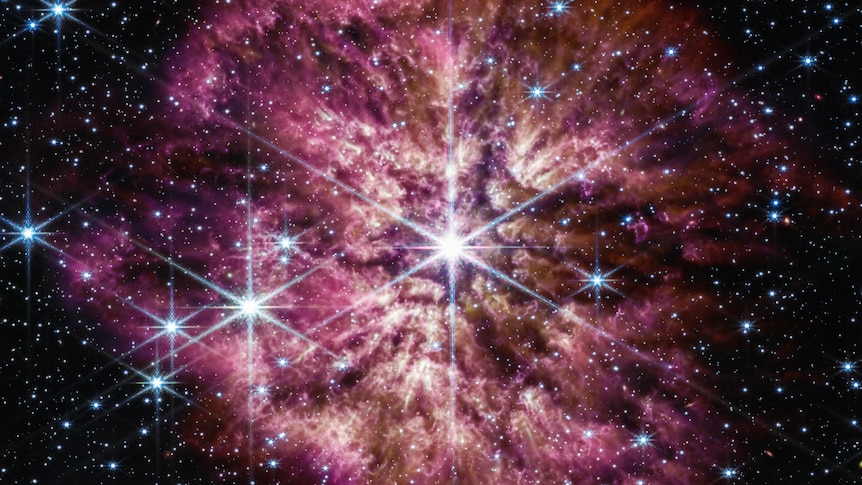 An image of the star Wolf-Rayet 124 surrounded by a nebula.