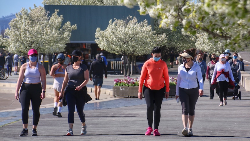 Four women wearing masks walk outdoors on a sunny day