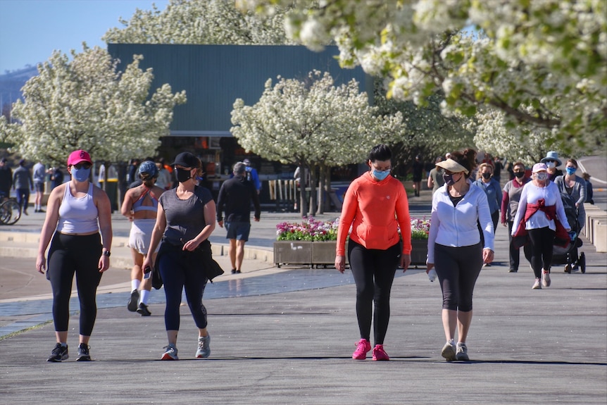 Four women wearing masks walk outdoors on a sunny day
