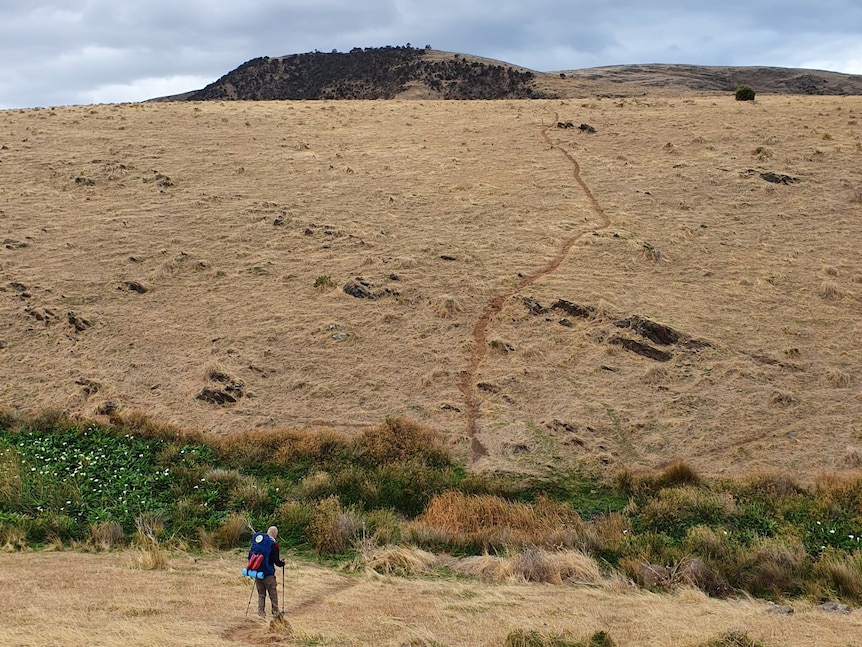 A wide shot of a hiker about to walk up a large grassy hill, with bigger hills behind it.