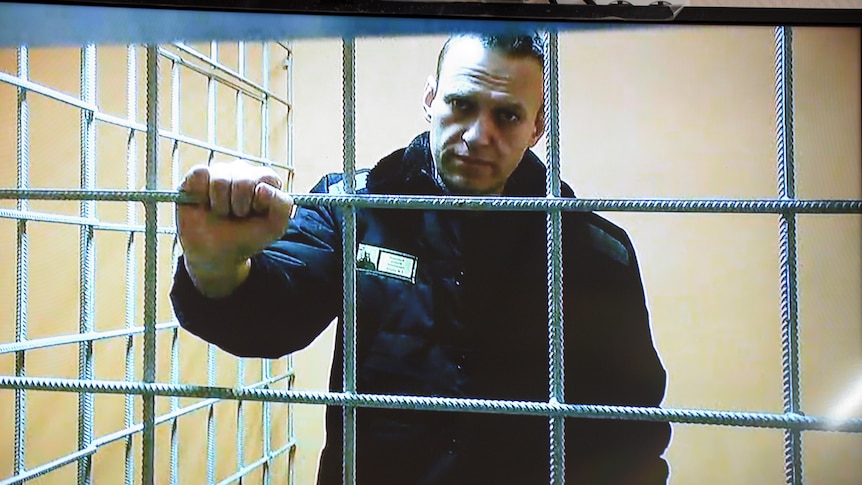 Russian opposition leader Alexei Navalny looks at a camera while speaking from a prison cell.