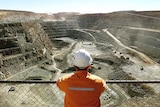 A miner looks across the Super Pit open pit gold mine at Kalgoorlie.