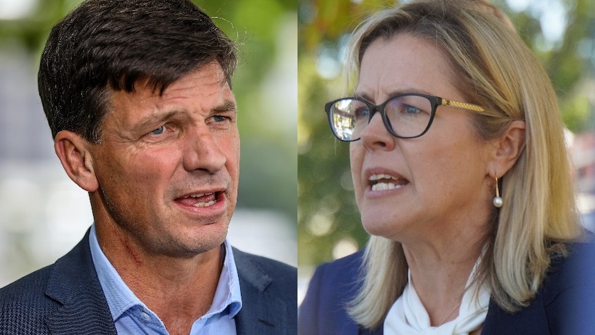 A composite image of federal Shadow Treasurer Angus Taylor and WA Liberal leader Libby Mettam, both close-up.