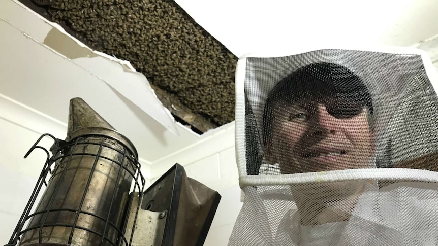 Scott Whitaker smiles at the camera with the bee hive exposed in the ceiling above him. He is holding a smoke.