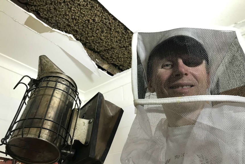 Scott Whittaker smiles at the camera with the bee hive exposed in the ceiling above him. He is holding a smoke.