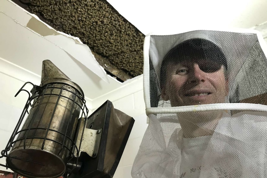 Scott Whitaker smiles at the camera with the bee hive exposed in the ceiling above him. He is holding a smoke.