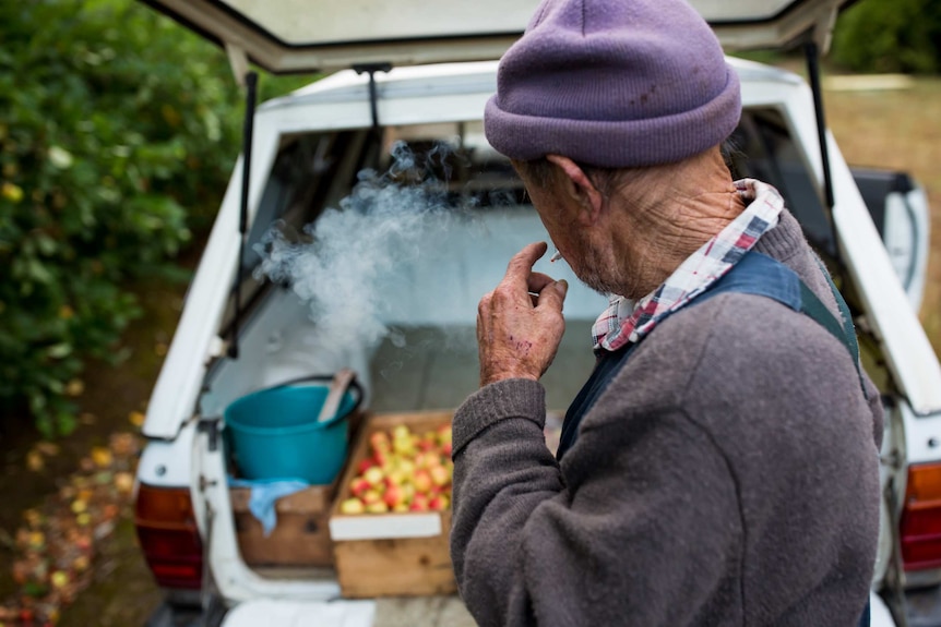 A puff of smoke obscures the view as the orchardist smokes a cigarette, in front of the tray of his ute, loaded with apple boxes