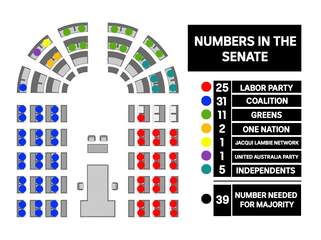  A graphic of the seating plan of the numbers of seats in the senate.