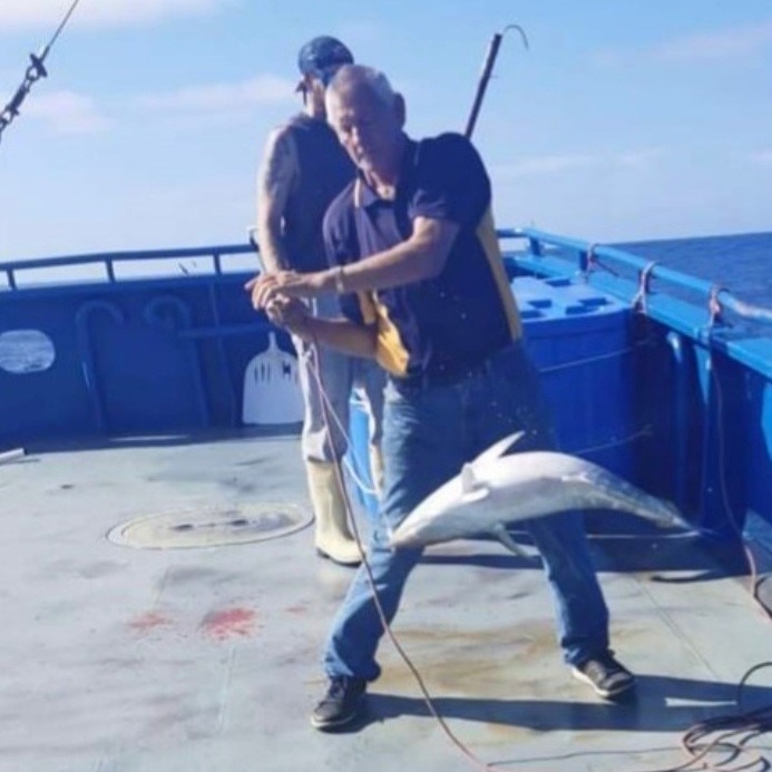 man hooking and landing a large tuna onto the deck of a fishing boat.