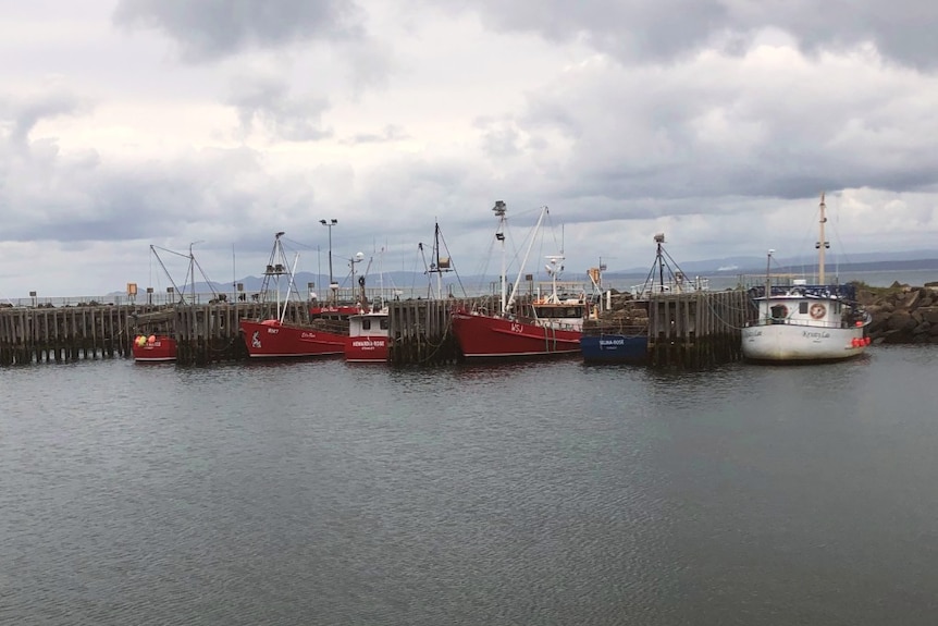 Fishing boats at Stanley wharf