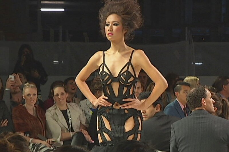This cheeky dress by Sarah Joseph Couture attracted plenty of attention at Canberra's first Fashfest.