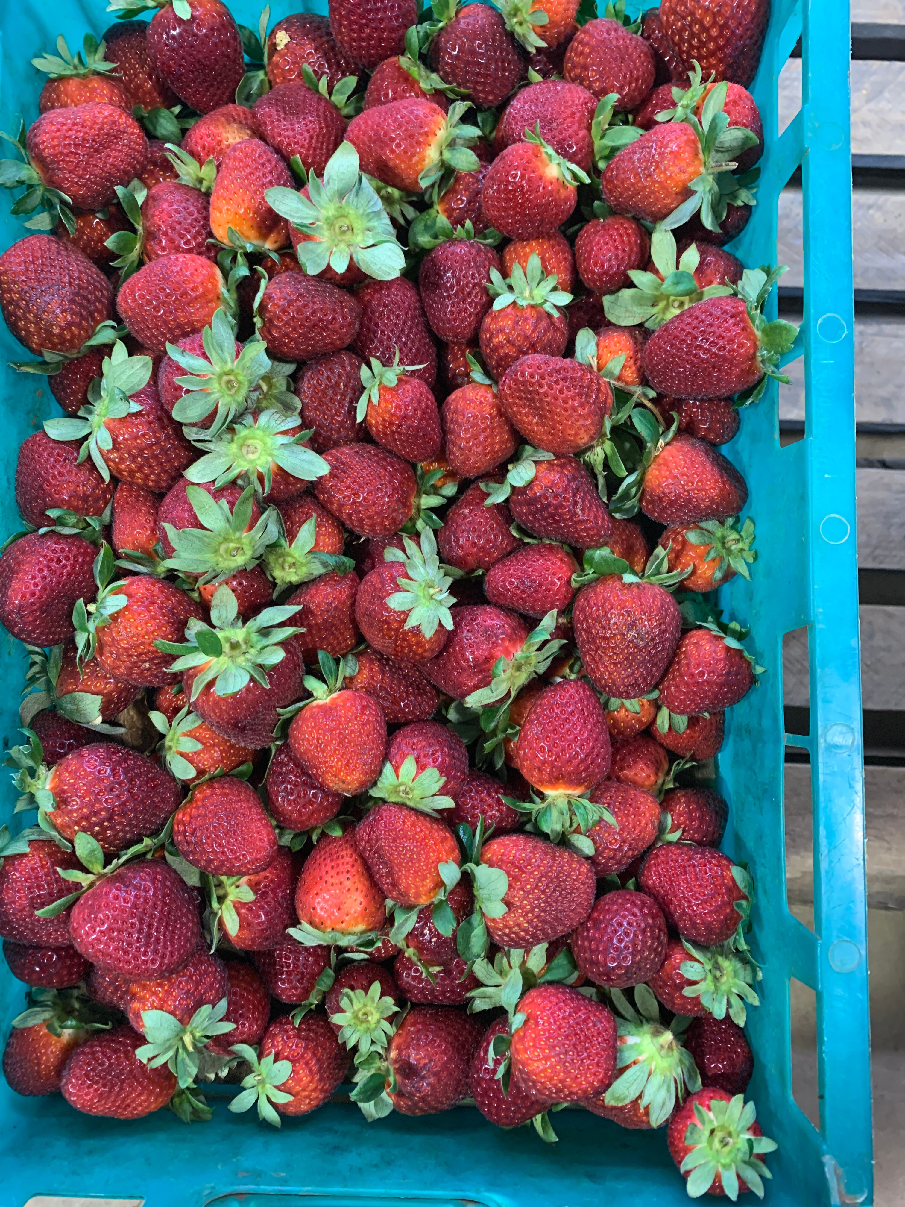 Farmer reveals increasing cost to grow strawberries, compared to higher price consumers are