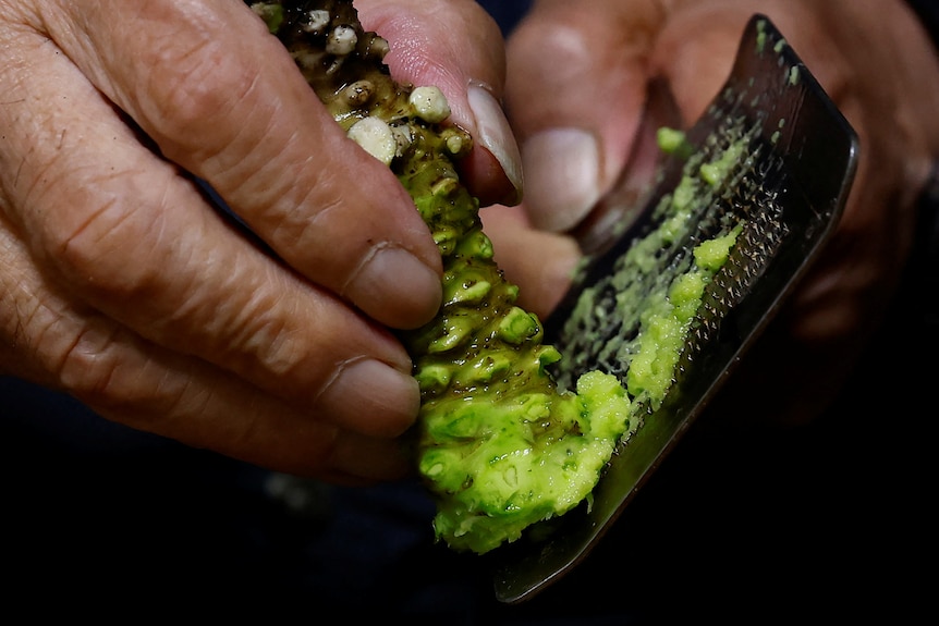 A man's hand grates a wasabi root against a slat leaving behind wasabi residue.