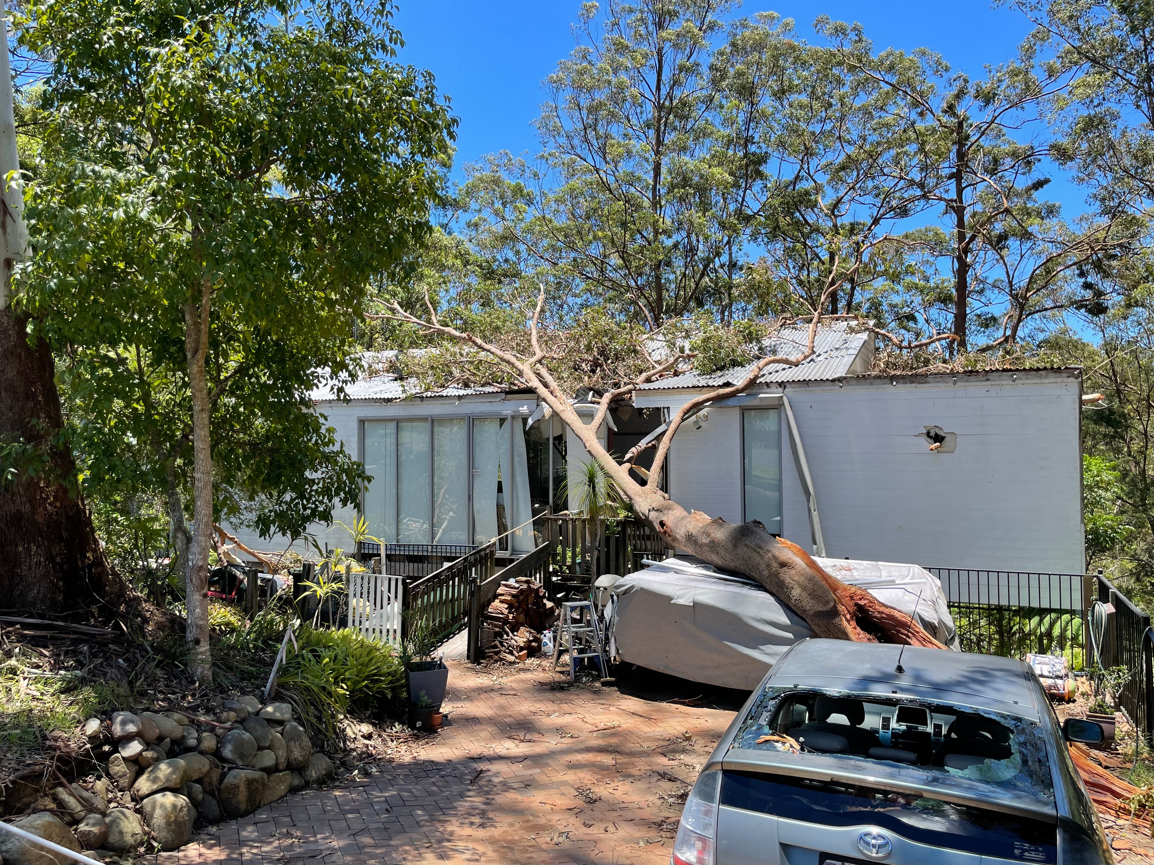 tree down on building