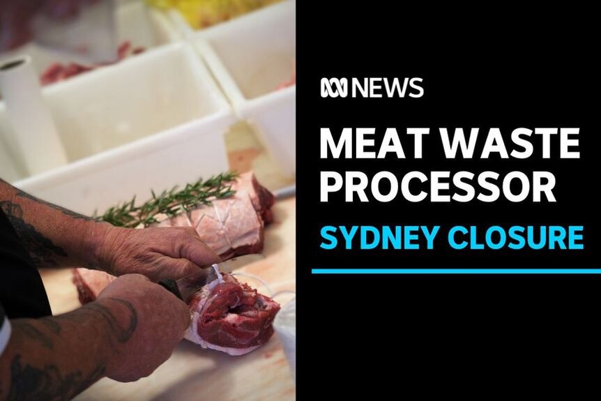 Meat Waste Processor, Sydney Closure: A butcher ties off a roast.