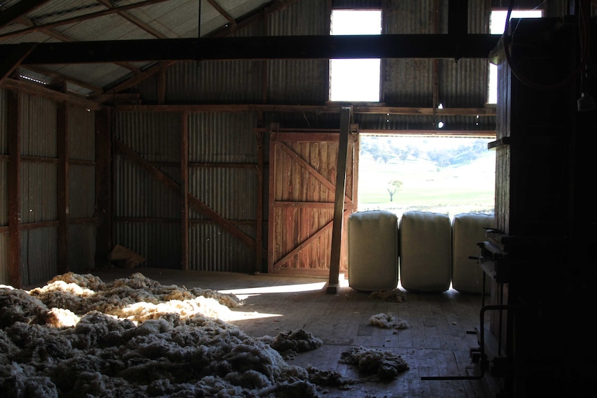 The historic shearing shed at Kimo Station.