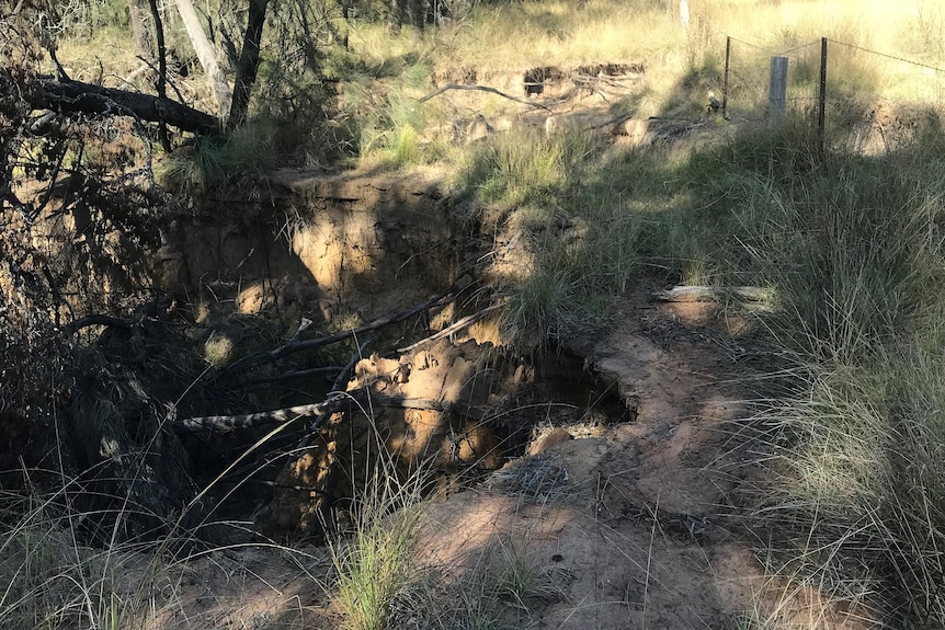 Pilliga roads