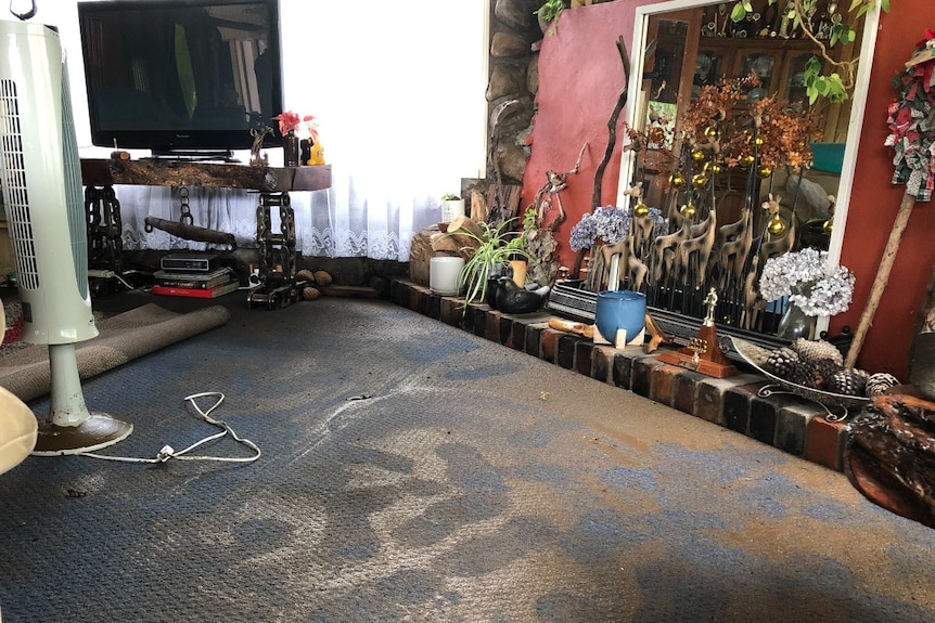 Muddy footprints in a carpet in a loungeroom