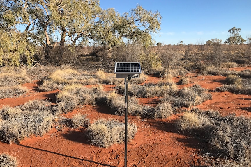 Acoustic sensor in an arid area with red earth