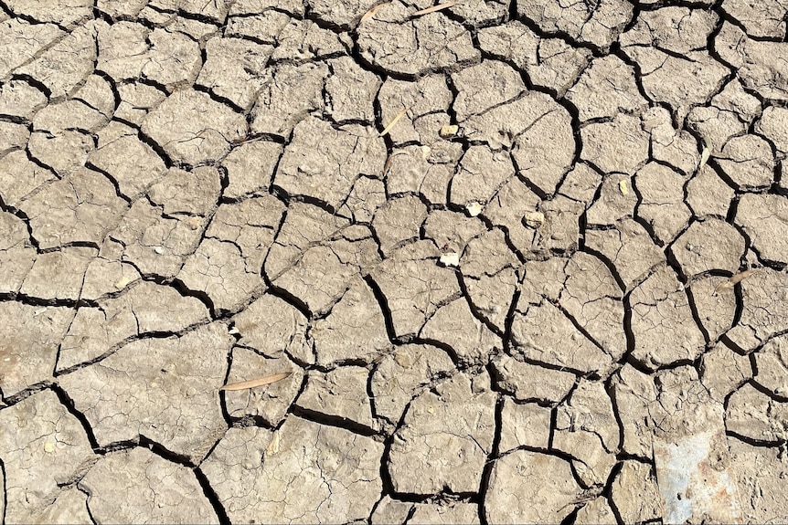 A close up of a dry, cracked floodplain.