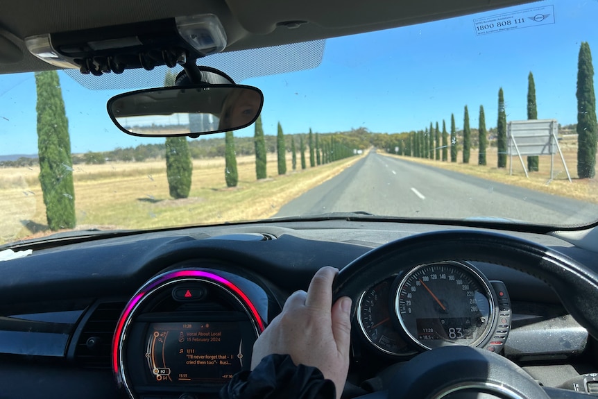 The view of a tree-lined road from inside the front seat of a car. 