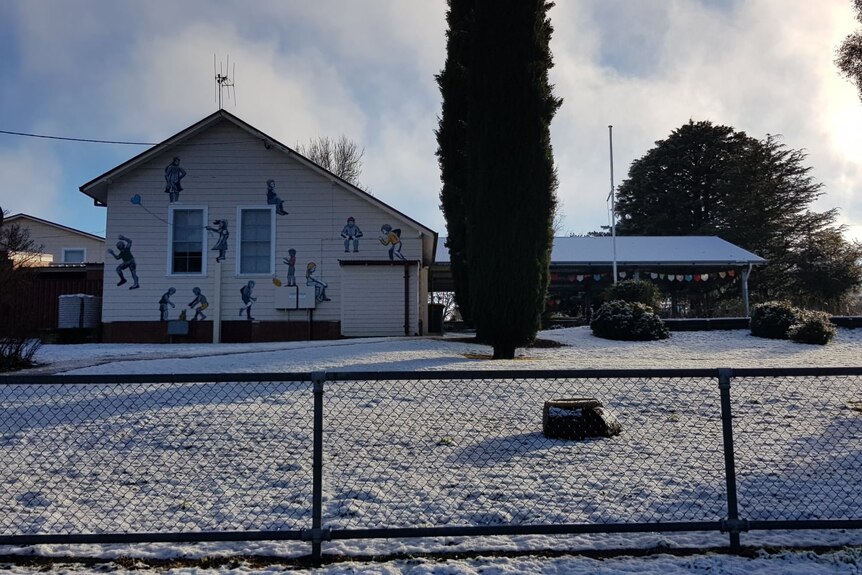 school building and tree in snow