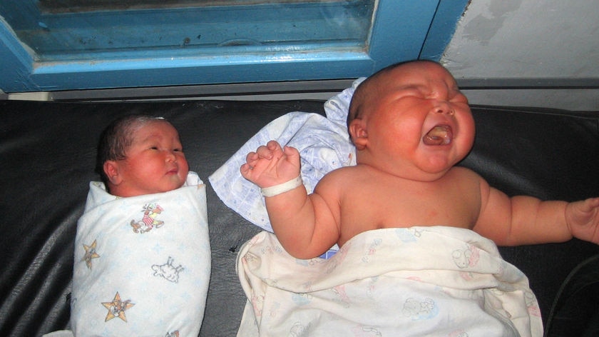 A large newborn baby lies next to a normal sized newborn.