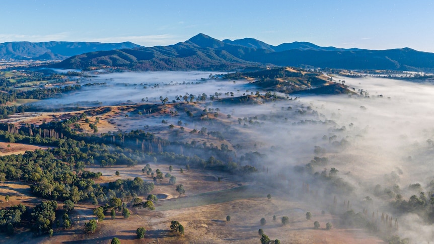 NSW_ABC_South East_Bega Valley fog.