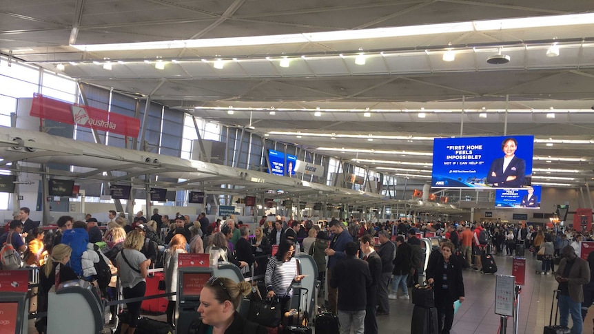 Lines at the airport.