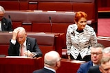 David Leyonhjelm (L) sits next to Pauline Hanson (R) in Parliament.